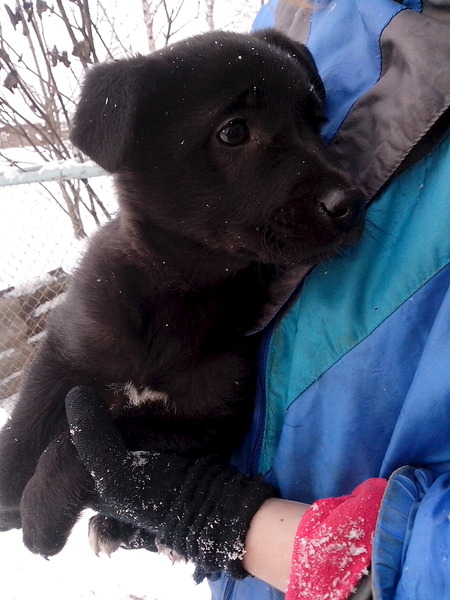 1536 X 2048 396.0 Kb ����� � ������ ����(�������)