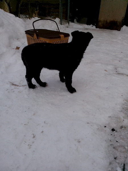 1536 X 2048 238.4 Kb 1536 X 2048 396.0 Kb ����� � ������ ����(�������)