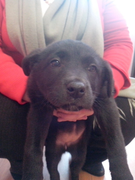 1536 X 2048 240.7 Kb 1536 X 2048 238.4 Kb 1536 X 2048 396.0 Kb ����� � ������ ����(�������)