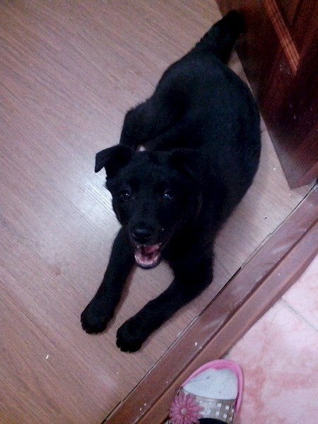 1536 X 2048 296.6 Kb 1536 X 2048 240.7 Kb 1536 X 2048 238.4 Kb 1536 X 2048 396.0 Kb ����� � ������ ����(�������)