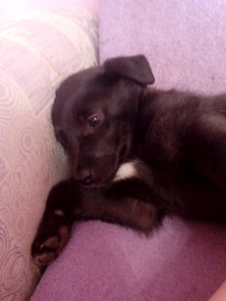 1536 X 2048 276.2 Kb 1536 X 2048 296.6 Kb 1536 X 2048 240.7 Kb 1536 X 2048 238.4 Kb 1536 X 2048 396.0 Kb ����� � ������ ����(�������)