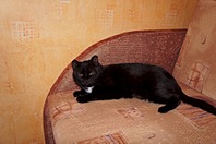 1920 X 1275 447.3 Kb     !