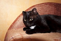 1920 X 1275 344.8 Kb     !