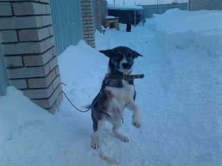 1920 X 1440 372.8 Kb  . . , -  ' ' ().