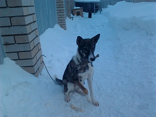 1920 X 1440 140.2 Kb 1920 X 1440 372.8 Kb  . . , -  ' ' ().