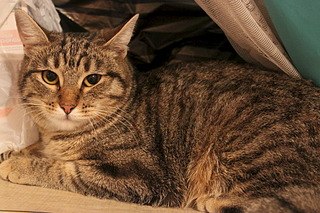 1920 X 1280 808.3 Kb    ?:)    :)