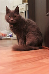 1920 X 2880 280.9 Kb    ?:)    :)