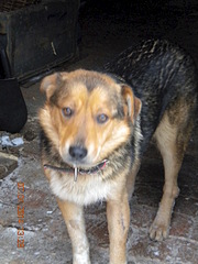 1920 X 2560 328.8 Kb  ,  