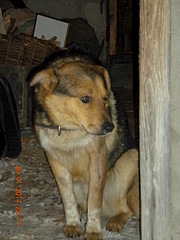 1920 X 2560 310.0 Kb  ,  