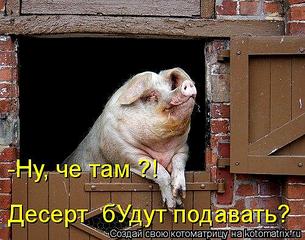 500 X 393  51.2 Kb     !