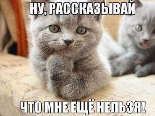 495 x 371 Улыбнемся?