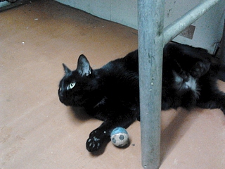 1920 X 1440 936.7 Kb :       .   