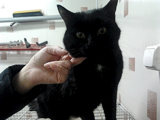 1920 X 1440 769.9 Kb .    .  