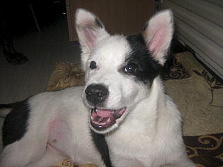 1920 X 1440 524.4 Kb 1920 X 1440 556.5 Kb   