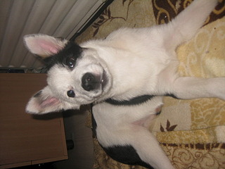 1920 X 1440 533.6 Kb 1920 X 1440 524.4 Kb 1920 X 1440 556.5 Kb   