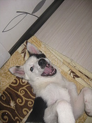 1920 X 2560 966.1 Kb 1920 X 1440 533.6 Kb 1920 X 1440 524.4 Kb 1920 X 1440 556.5 Kb   