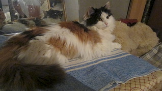 1920 X 1079 489.0 Kb  -