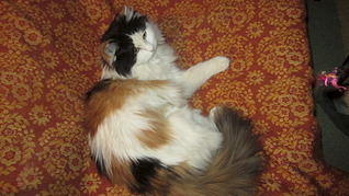 1920 X 1079 602.7 Kb 1920 X 1079 488.5 Kb 1920 X 1079 489.0 Kb  -