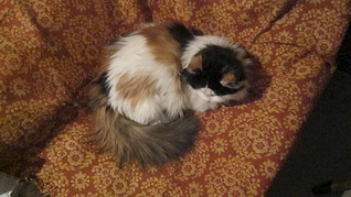 1920 X 1079 591.4 Kb  -