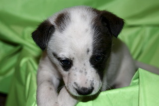 1920 X 1280 428.3 Kb   