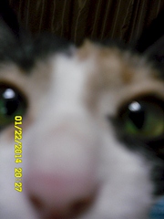 1920 X 2560 161.9 Kb 1920 X 2560 305.5 Kb 1920 X 2560 252.8 Kb ()    (7)   ! .