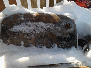 1920 X 1440 459.8 Kb    