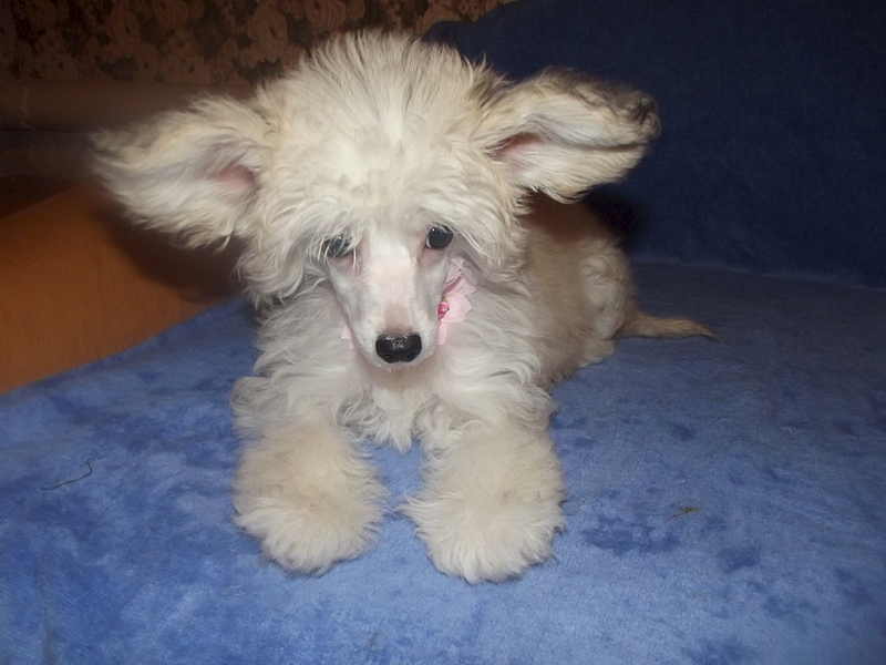 1920 X 1440 123.2 Kb     