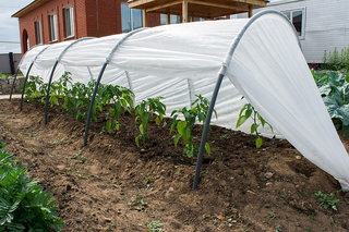 1280 X 853   2.4 Mb   ""