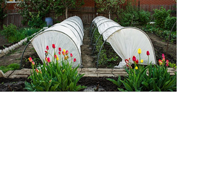 768 X 614 545.3 Kb 1280 X 853   2.4 Mb   ""