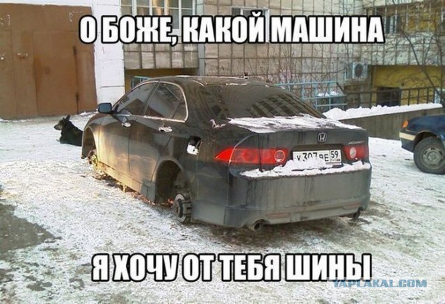 640 x 437 Автоюмор