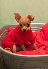 351 X 500 18.0 Kb 375 X 500 29.1 Kb   