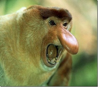 545 X 484  55.2 Kb Формула 1 2014