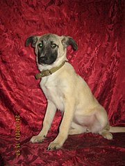 768 X 1024 155.6 Kb -   