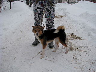 1920 X 1440 565.6 Kb 1920 X 1440 637.2 Kb 1920 X 1440 532.4 Kb        