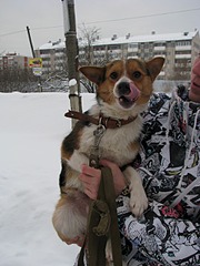 1920 X 2560 850.0 Kb 1920 X 1440 682.8 Kb 1920 X 1440 565.6 Kb 1920 X 1440 637.2 Kb 1920 X 1440 532.4 Kb        