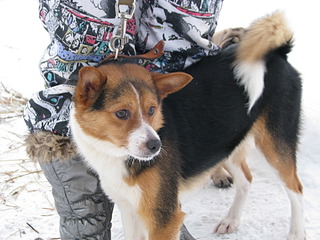 1920 X 1440 533.7 Kb        