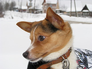 1920 X 1440 544.3 Kb 1920 X 1440 533.7 Kb        