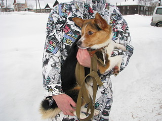 1920 X 1440 621.0 Kb 1920 X 1440 544.3 Kb 1920 X 1440 533.7 Kb        