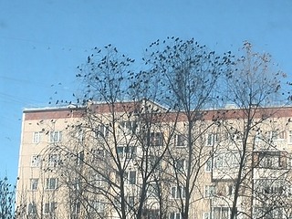 1920 X 1440 640.3 Kb Поболтаем ни о чем!?