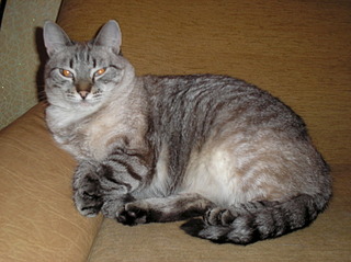 1920 X 1436 589.1 Kb  ,    !