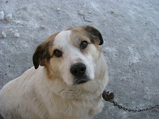 1920 X 1440 564.7 Kb   