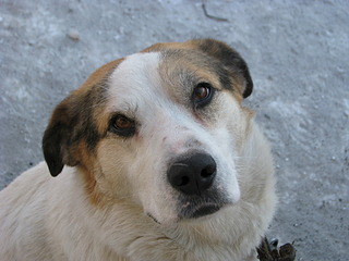 1920 X 1440 543.5 Kb 1920 X 1440 564.7 Kb   