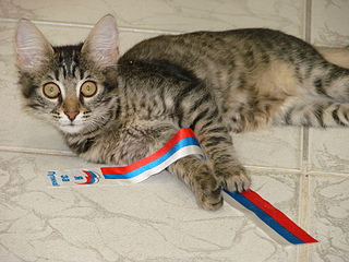 1920 X 1440 265.7 Kb    !