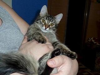 1920 X 1440 629.4 Kb    !