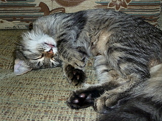 1920 X 1440 415.9 Kb    !