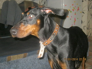 1920 X 1440 574.5 Kb    .SOS.