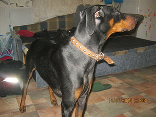 1920 X 1440 645.0 Kb 1920 X 2560 948.9 Kb 1920 X 1440 574.5 Kb    .SOS.