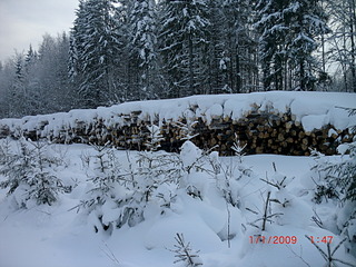 1920 X 1440 888.2 Kb    