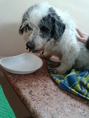 1920 X 2560 250.8 Kb 1920 X 2560 258.8 Kb   ''  