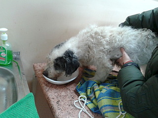 1920 X 1440 540.0 Kb 1920 X 2560 250.8 Kb 1920 X 2560 258.8 Kb   ''  